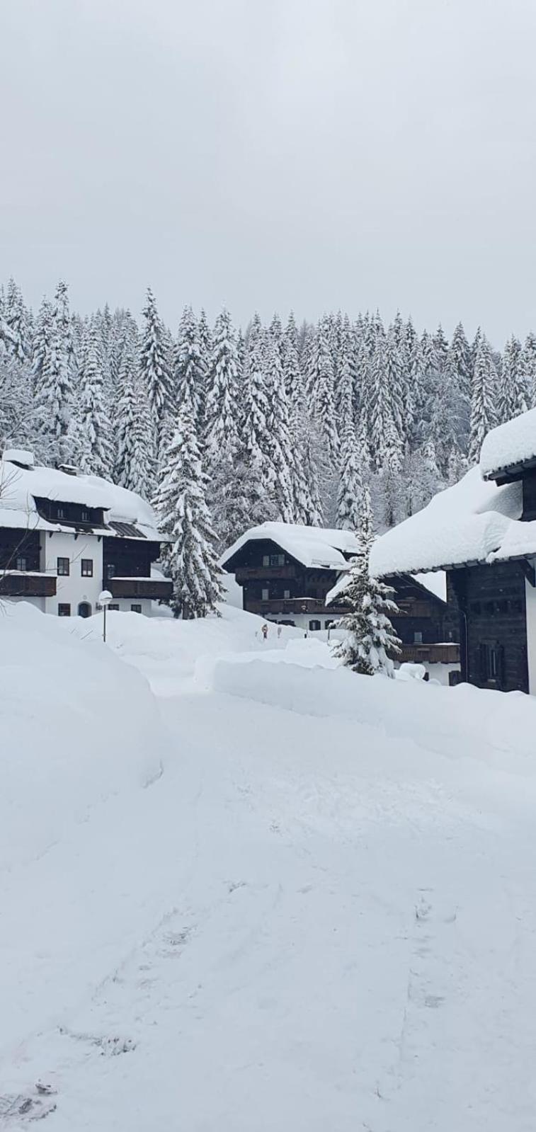 Apartment Martin Sonnenalpe Nassfeld Zewnętrze zdjęcie