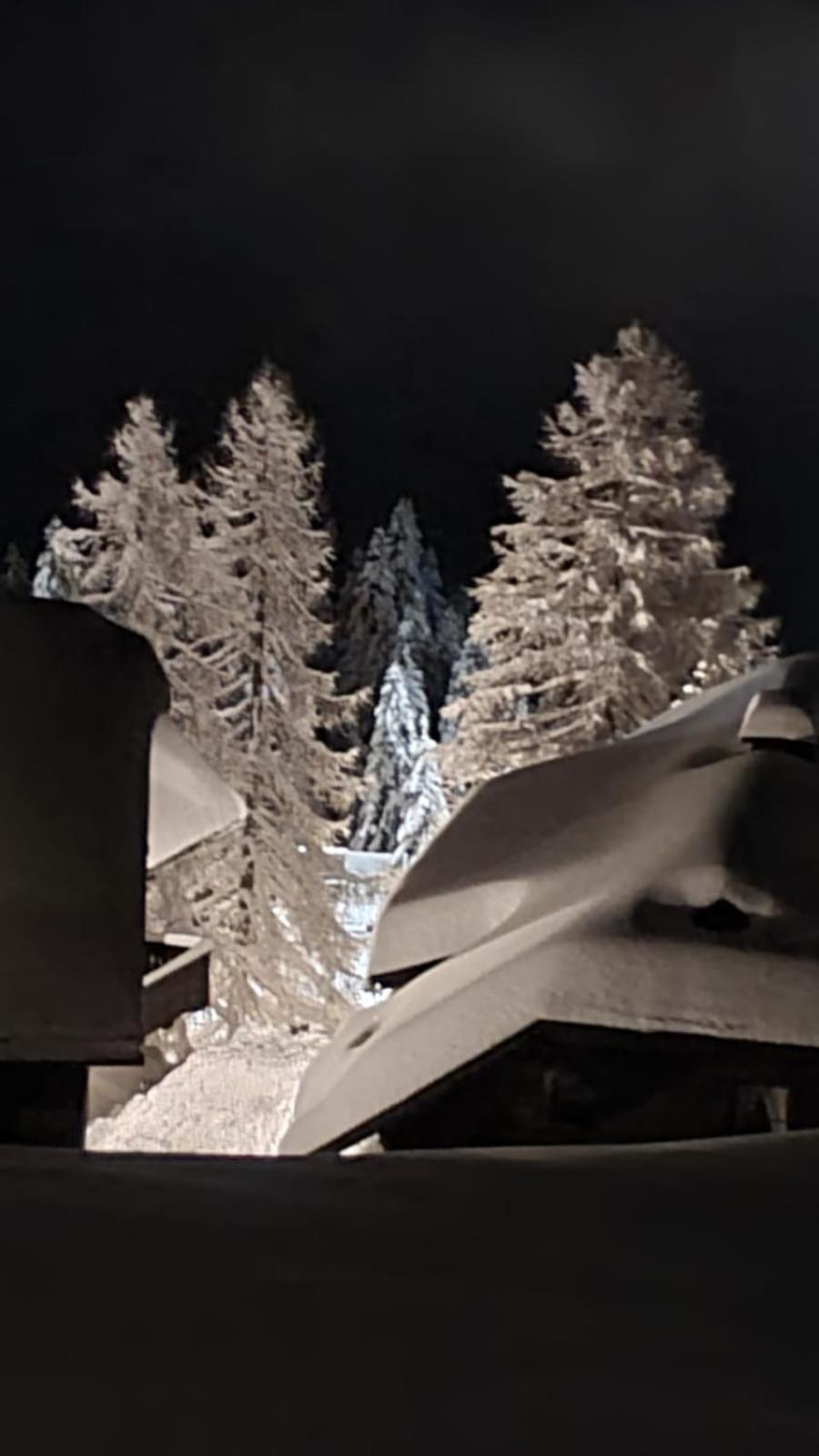 Apartment Martin Sonnenalpe Nassfeld Zewnętrze zdjęcie